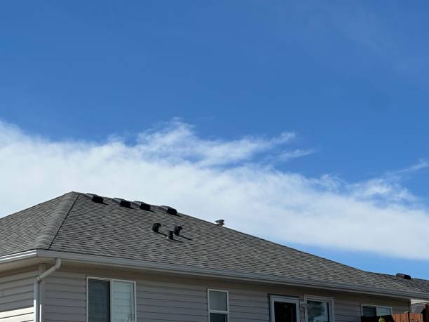 Best Roof Ventilation Installation  in Gainesville, VA